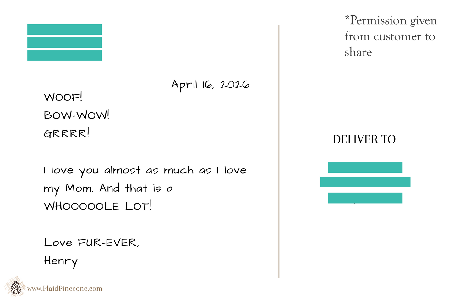 Special Occasions Bundle